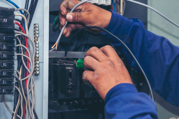 Best Licensed Electrician  in Arcadia, SC